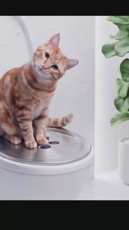PURRFLUSH  (MSRP:$299. Now Get Super Early Bird for the Lowest $189 on Kickstarter)