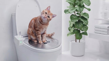 PURRFLUSH  (MSRP:$299. Now Get Super Early Bird for the Lowest $189 on Kickstarter)
